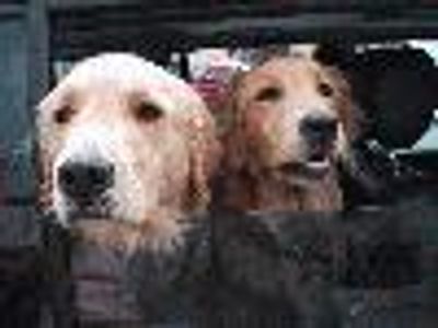 SuperMega Profile Photo